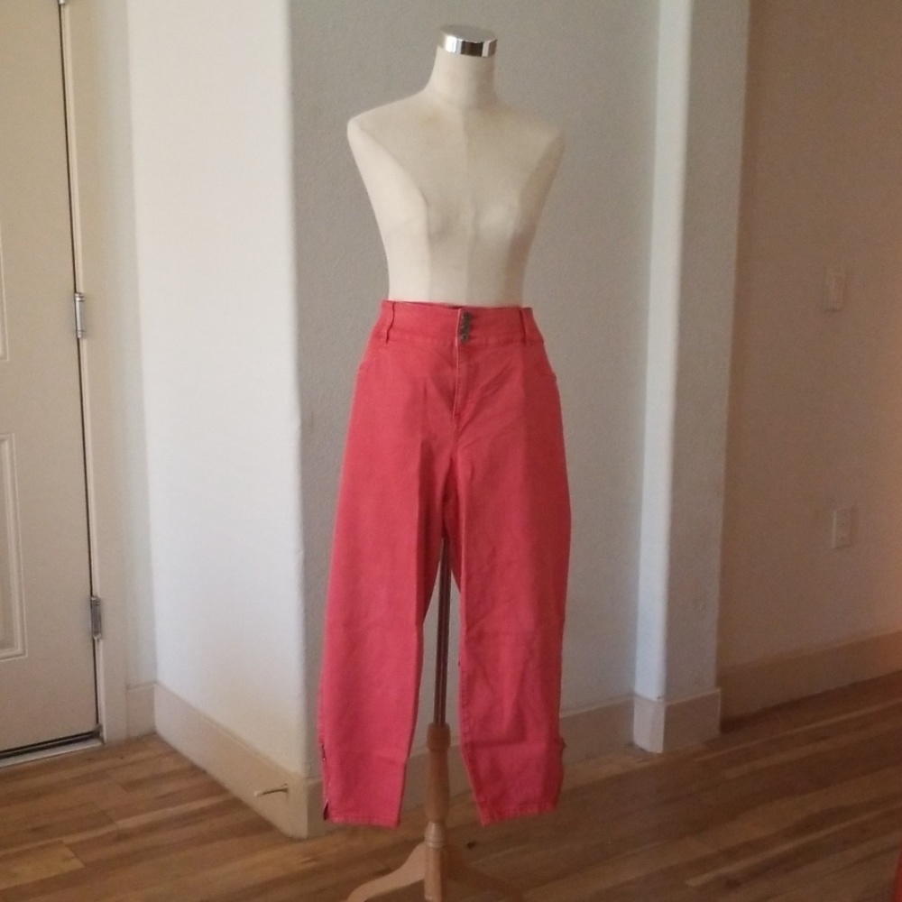 Flash Sale!Torrid Stiletto Jegging with Zip Detail